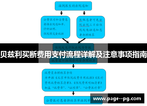 贝兹利买断费用支付流程详解及注意事项指南