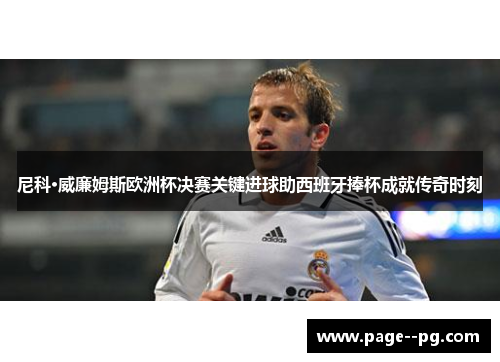 尼科·威廉姆斯欧洲杯决赛关键进球助西班牙捧杯成就传奇时刻