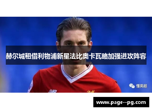 赫尔城租借利物浦新星法比奥卡瓦略加强进攻阵容