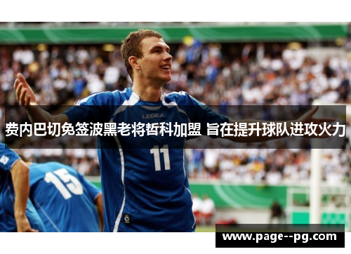 费内巴切免签波黑老将哲科加盟 旨在提升球队进攻火力 费内巴切免签波黑老将哲科加盟 旨在提升球队进攻火力