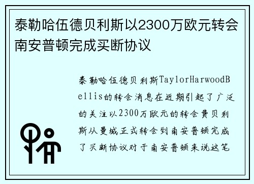 泰勒哈伍德贝利斯以2300万欧元转会南安普顿完成买断协议 泰勒哈伍德贝利斯以2300万欧元转会南安普顿完成买断协议